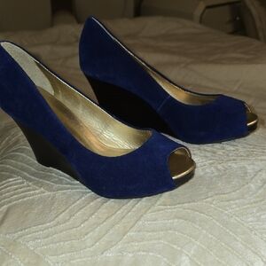 Lilly Pulitzer Blue and Gold Wedges with Elegant Design